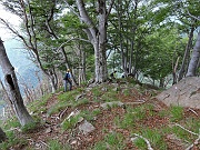 Mass18 035M